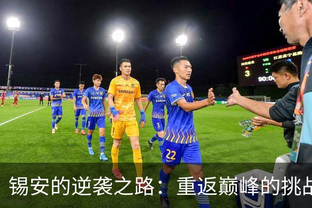 锡安的逆袭之路：重返巅峰的挑战与机遇